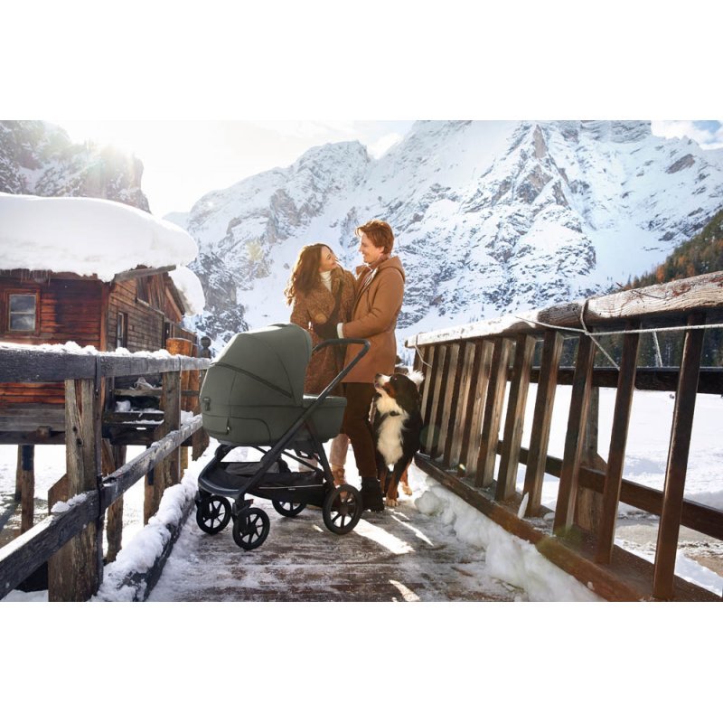 INGLESINA APTICA XT DARWIN SYSTÉM 4V1 2021 SEQUOIA GREEN